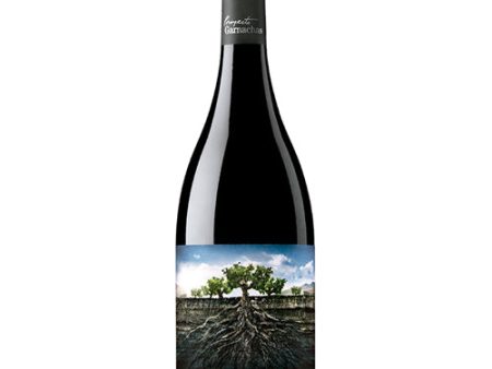 Proyecto La Garnacha Salvaje del Moncayo 2019 -750ML Sale