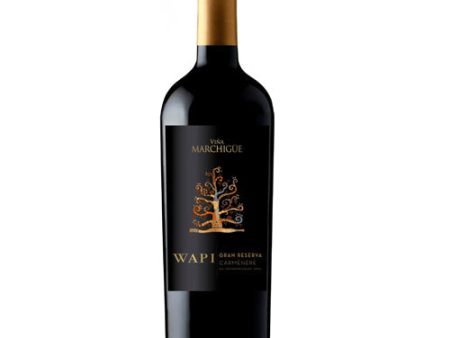 Wapi Carmenere 2020 -750ML Discount