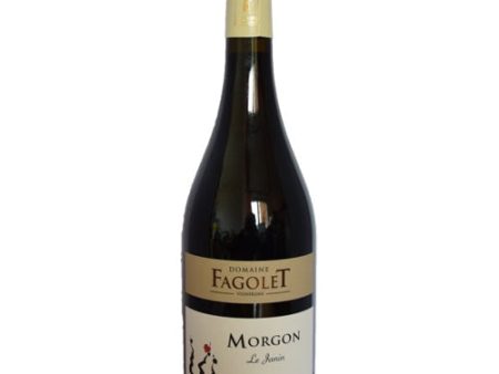 Domaine  Le Fagolet Le Janin 2020 - 750ML Supply